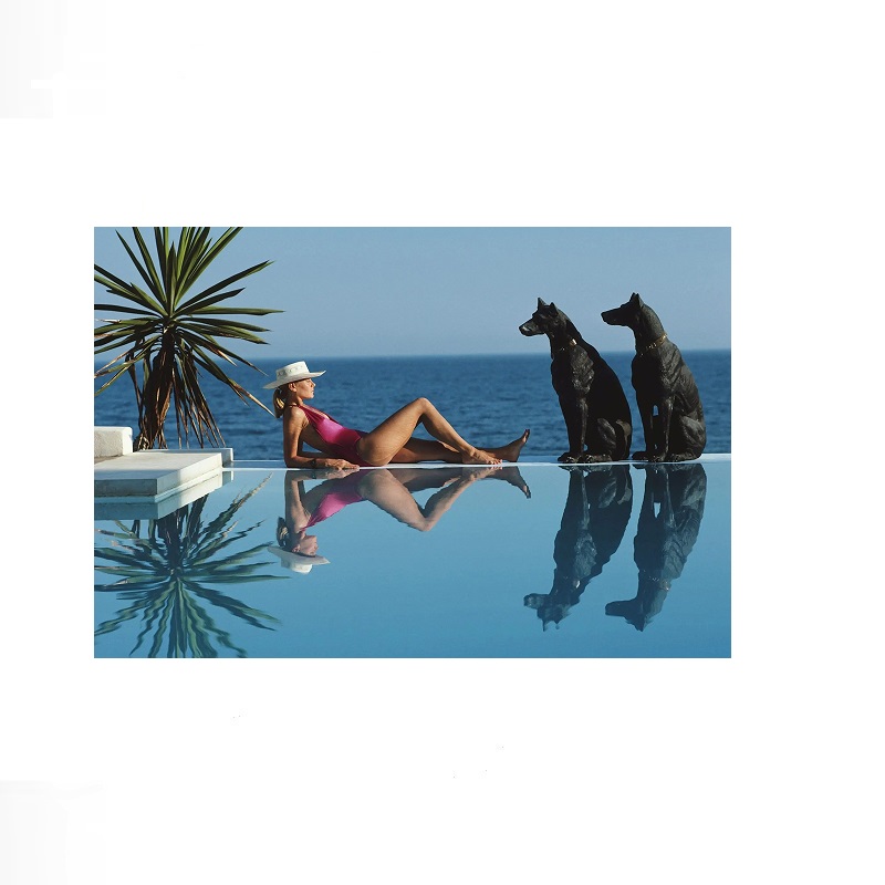 Retro Poolside Host Luxury Lif - огляд і ціна Luxury Lifestyle Pictures